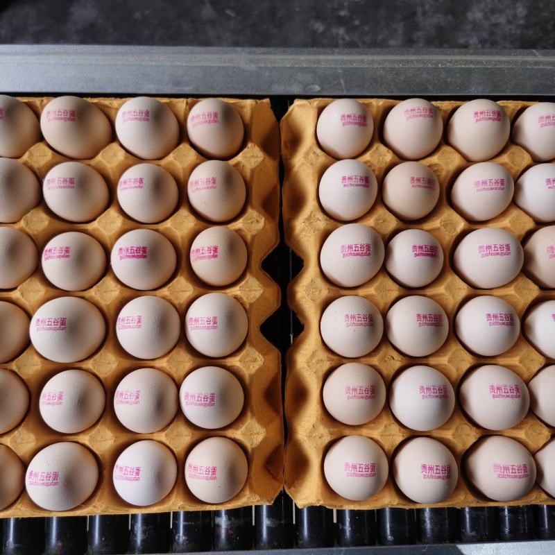 贵州精品五谷蛋货源充足量大从优质量保证欢迎咨询