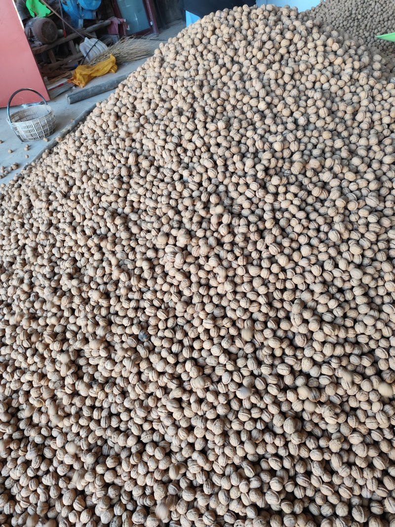 陕西清香核桃农家自种产地直发一手货源全国发货