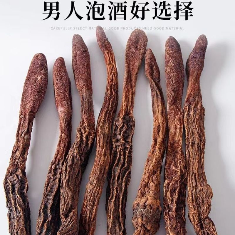 锁阳