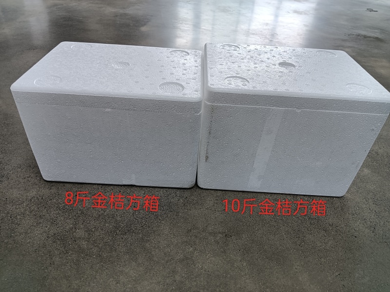泡沫箱
