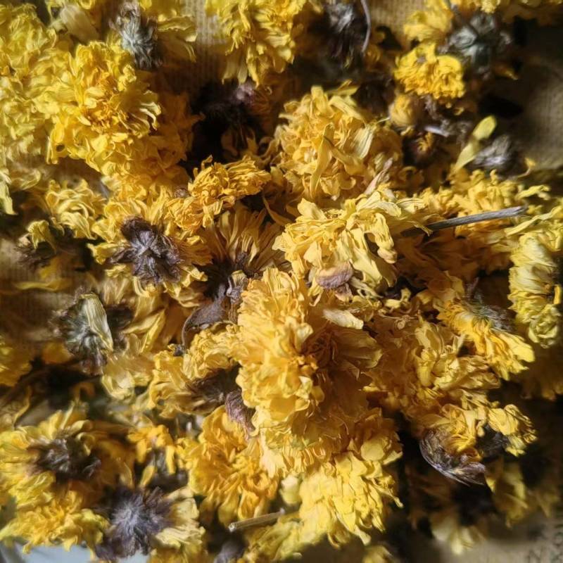 怀菊花品质保证价钱实惠批发零售欢迎咨询选购