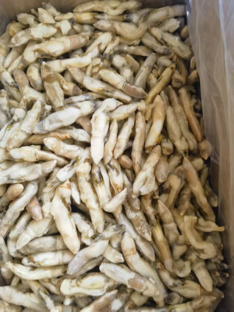 开嘴去沙蛏王肉大量供应，货源充足，新鲜对接，保质保量