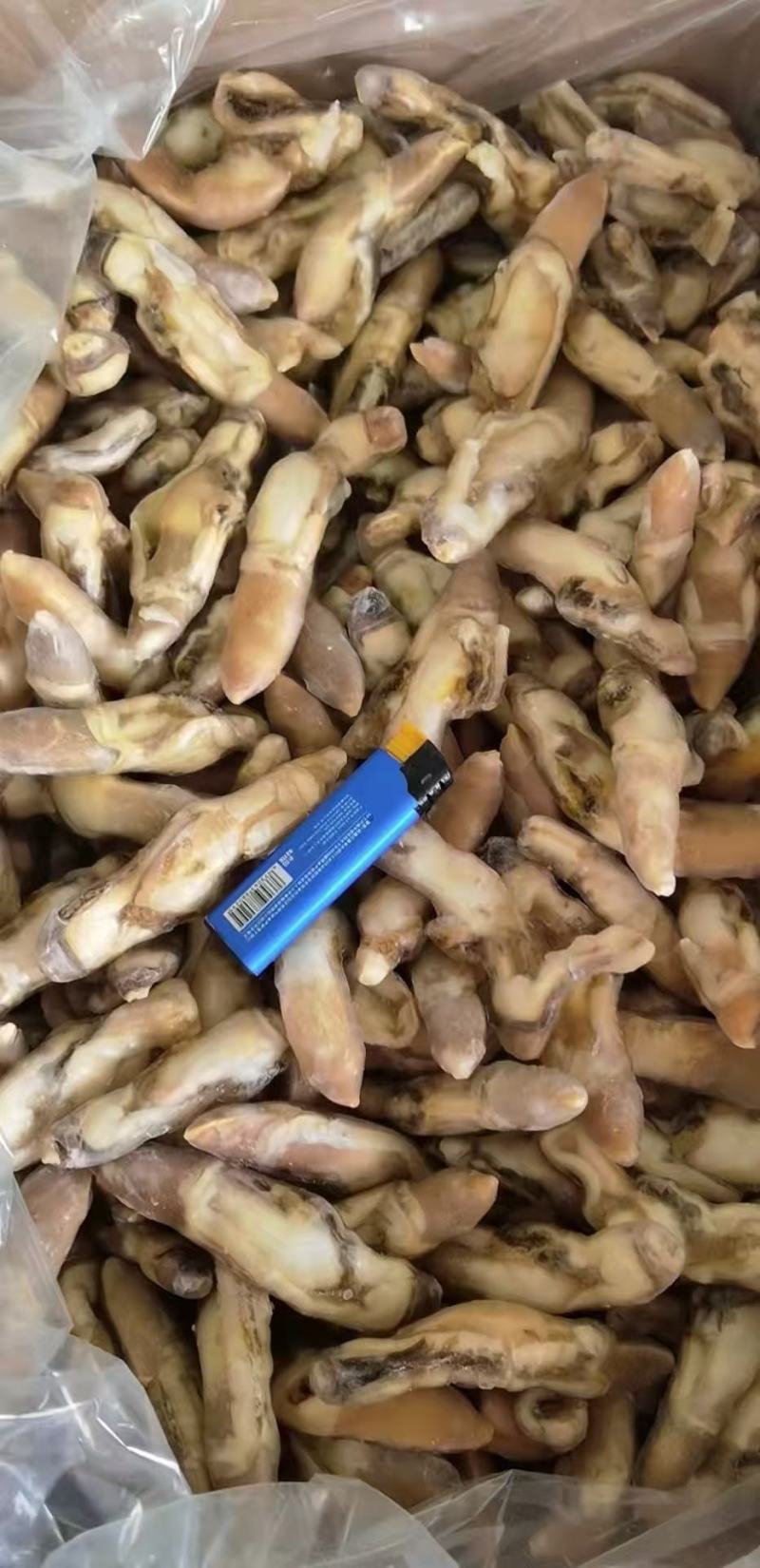 开嘴去沙蛏王肉大量供应，货源充足，新鲜对接，保质保量