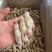 开嘴去沙蛏王肉大量供应，货源充足，新鲜对接，保质保量