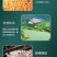 清香型散装玉米高粱酒固态发酵酒坊直营50度52度55度
