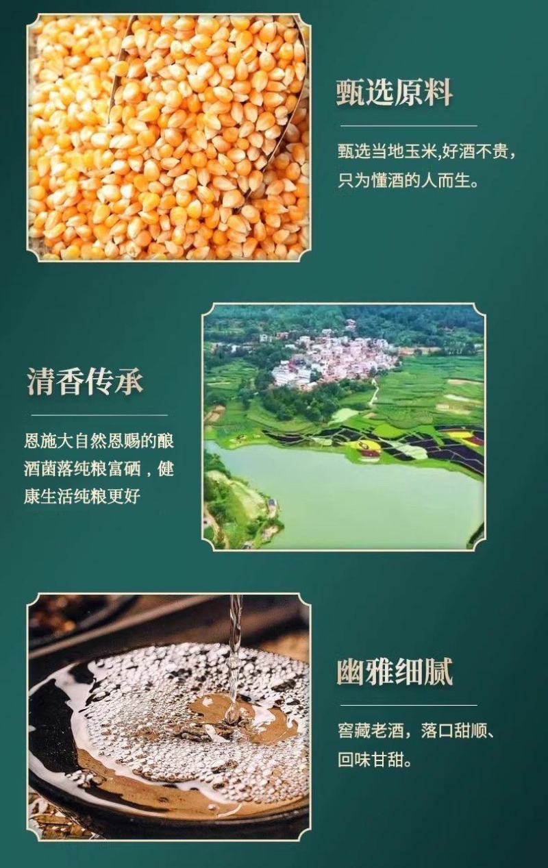 清香型散装玉米高粱酒固态发酵酒坊直营50度52度55度