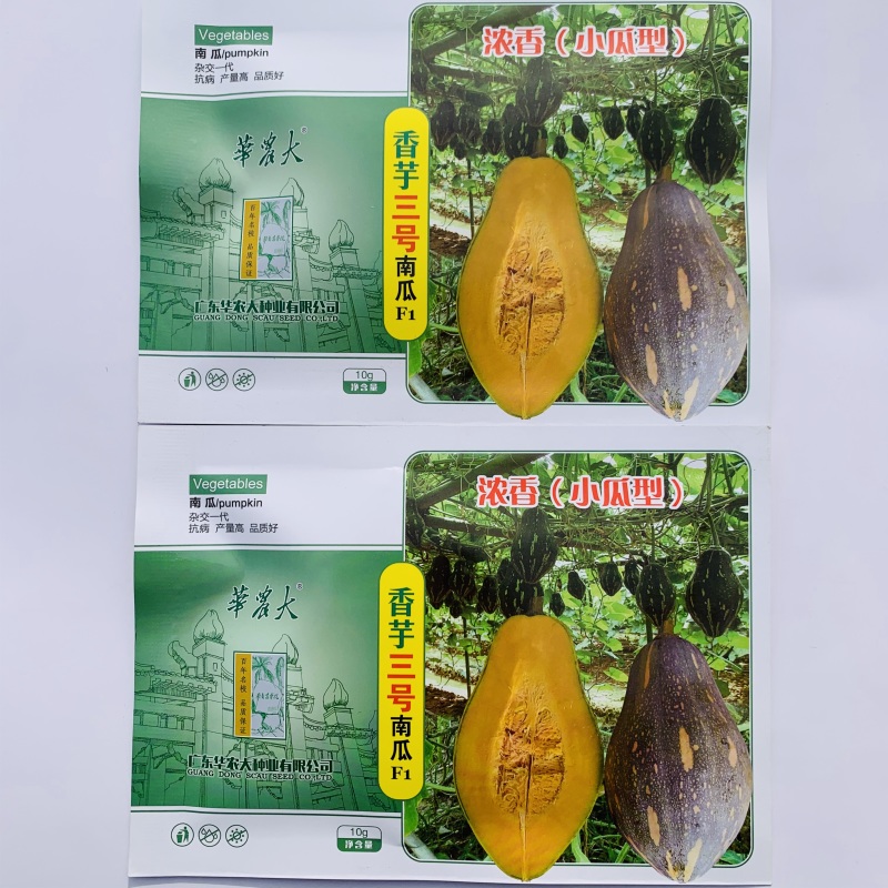 华南农业大学香芋三号南瓜种子新品种浓香型高产早熟香芋南瓜