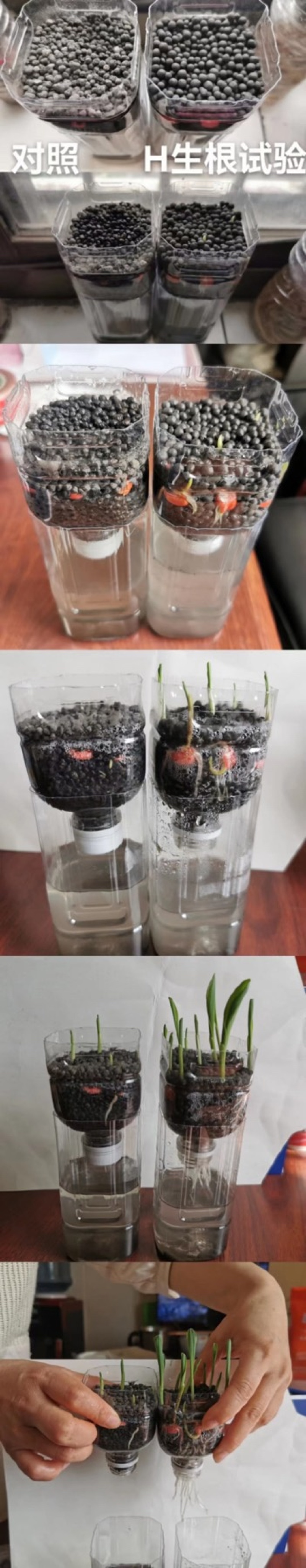 【口碑好肥料】生物有机菌肥厂家直发品质保证欢迎选购