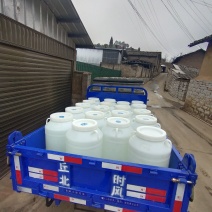 玉米酒50°