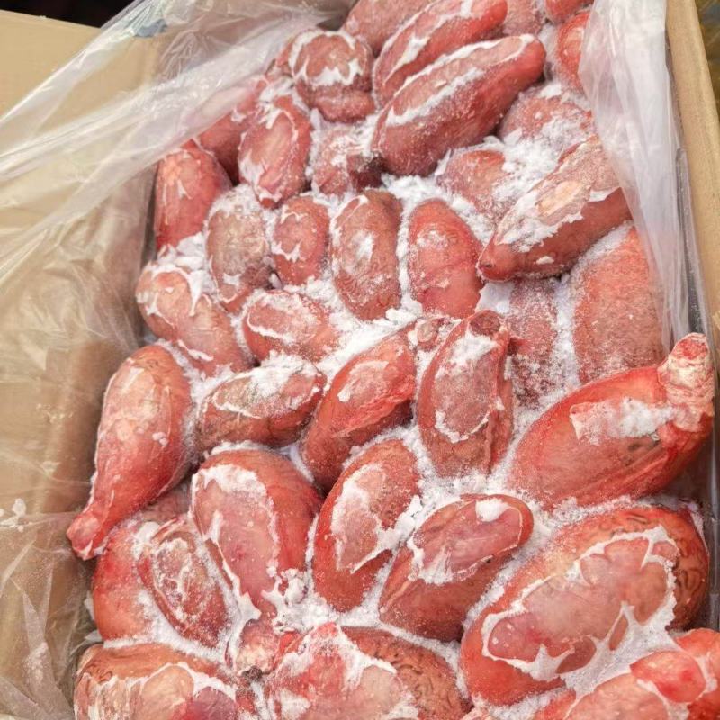 新疆大牛宝个头均匀高品质质量欢迎采购