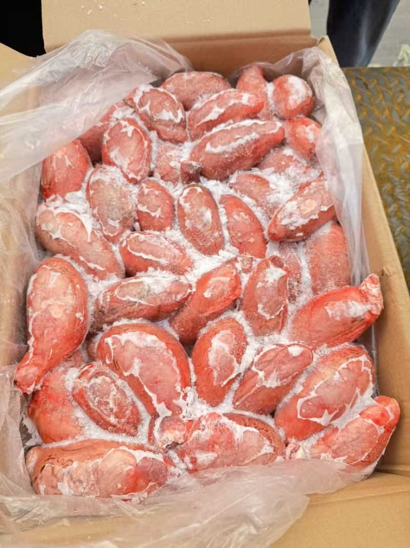 新疆大牛宝个头均匀高品质质量欢迎采购