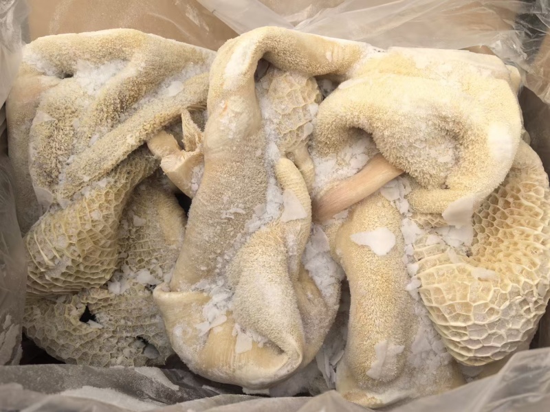 纯干牛肚带金肚水退无碱发干净无油全国批发