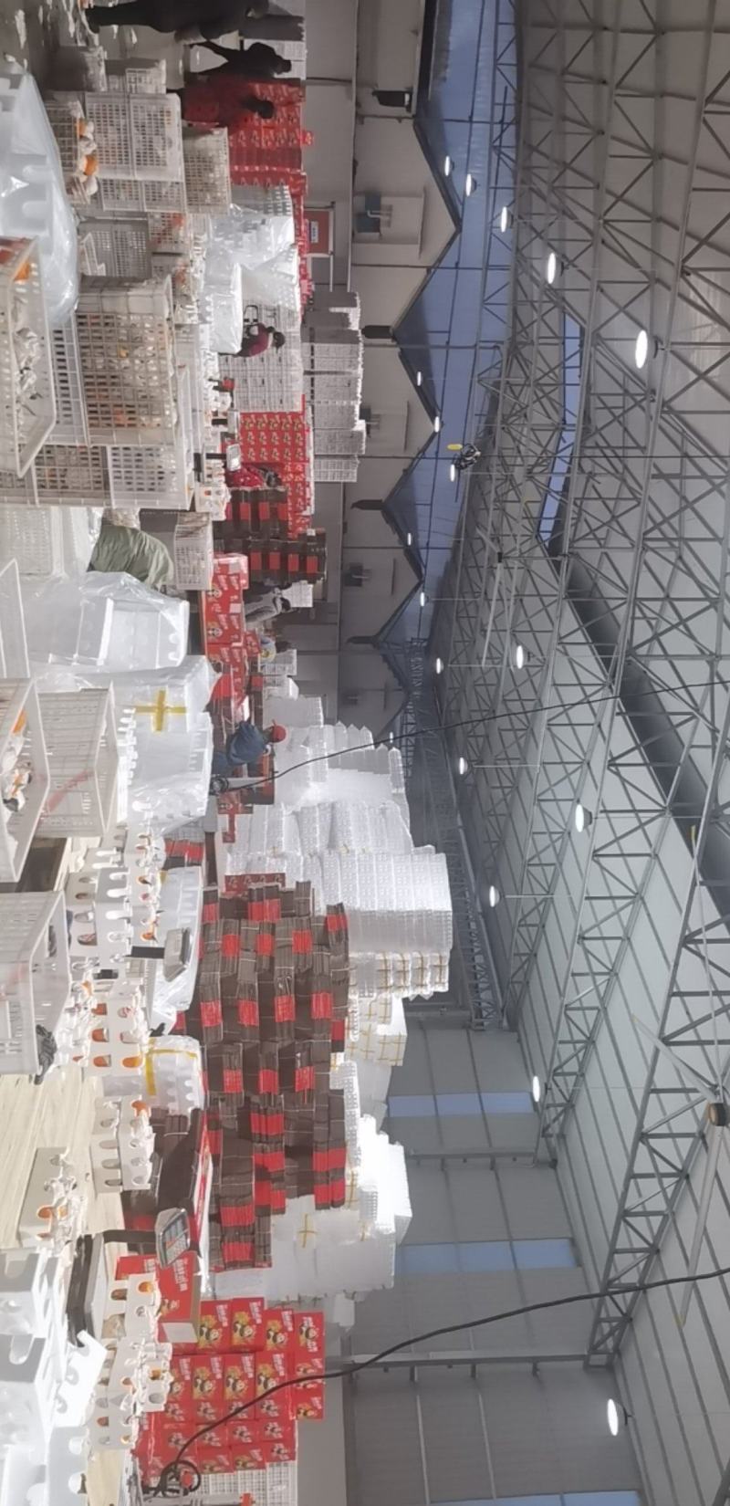 蒲江春见耙耙柑一件代发欢迎各类型电商来合作