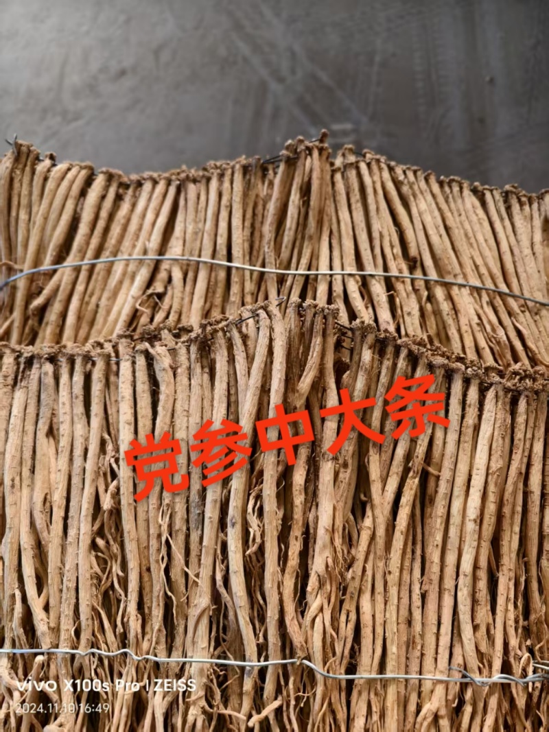 党参正宗甘肃原产地的货常年供应批发零售各种规格都有