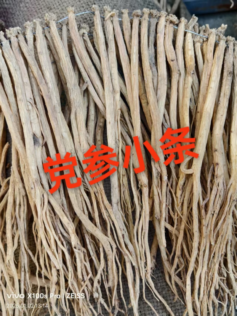 党参正宗甘肃原产地的货常年供应批发零售各种规格都有