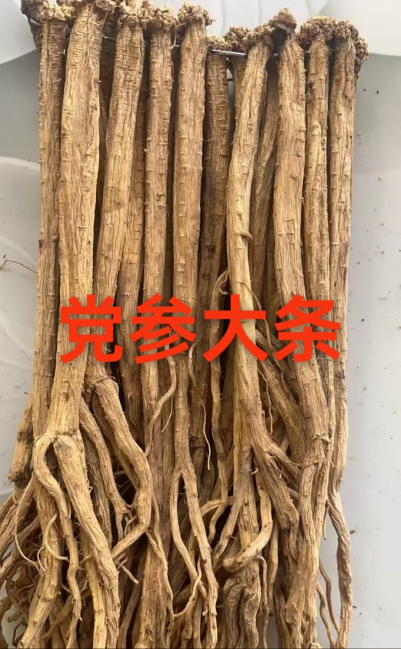 党参正宗甘肃原产地的货常年供应批发零售各种规格都有