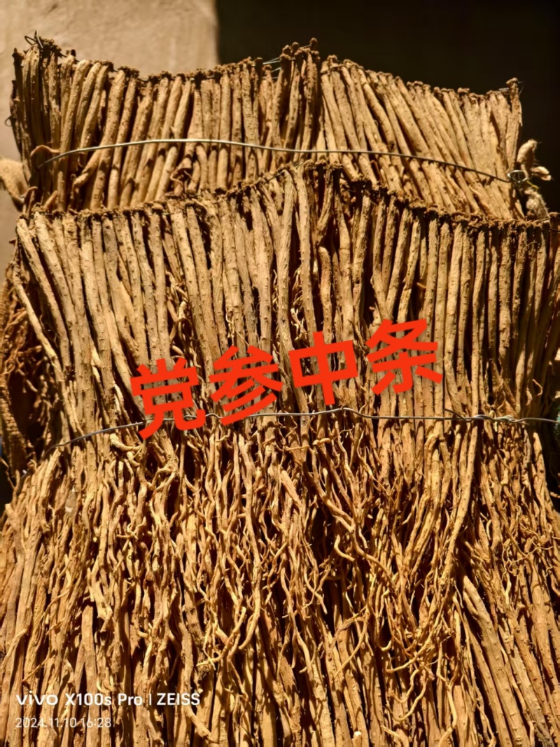 党参正宗甘肃原产地的货常年供应批发零售各种规格都有