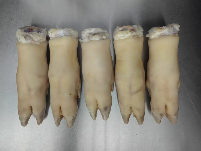 进口猪蹄纯干无水厂家直供带皮带筋用于蹄花汤卤味
