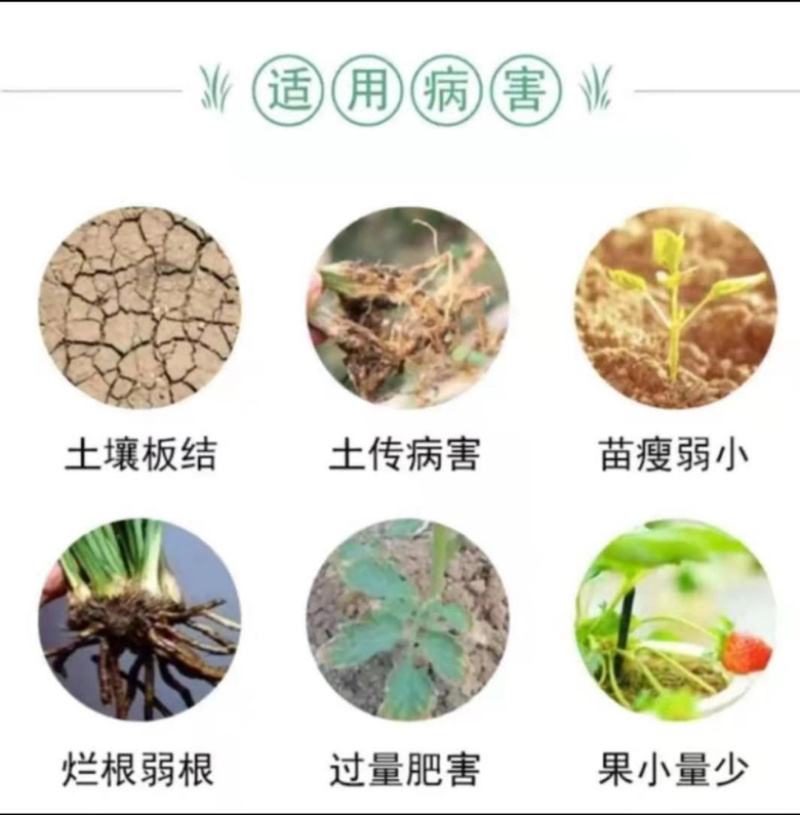 【微生物菌剂】有机质50，有效活菌8亿根腐用肥，药材茶叶
