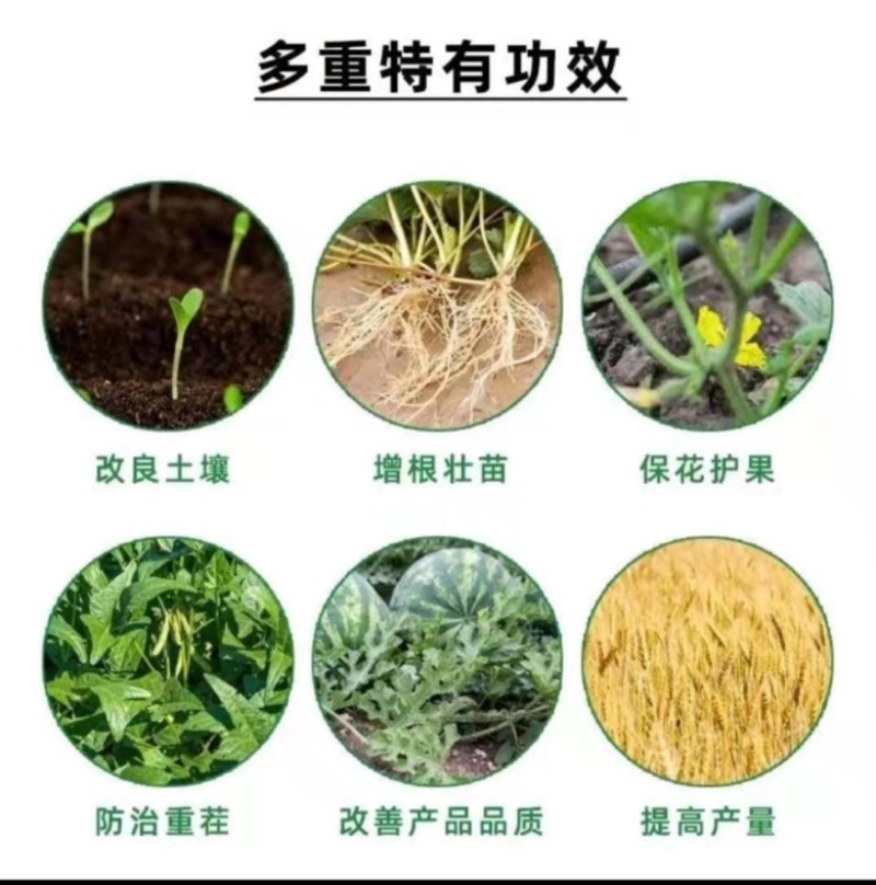 【微生物菌剂】有机质50，有效活菌8亿根腐用肥，药材茶叶