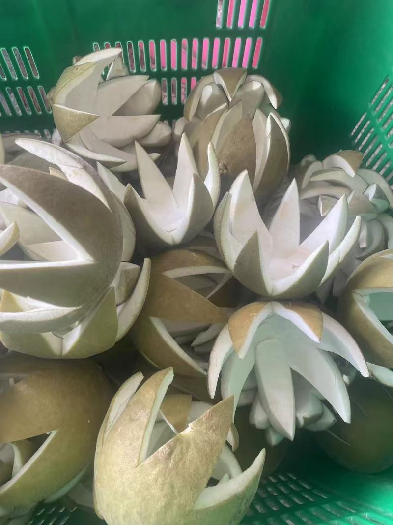 【推荐】广东化橘红新皮单爪陈年单爪七爪全国发货量大从