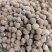 化橘红胎果量大从优基地直发对接全国售后无忧