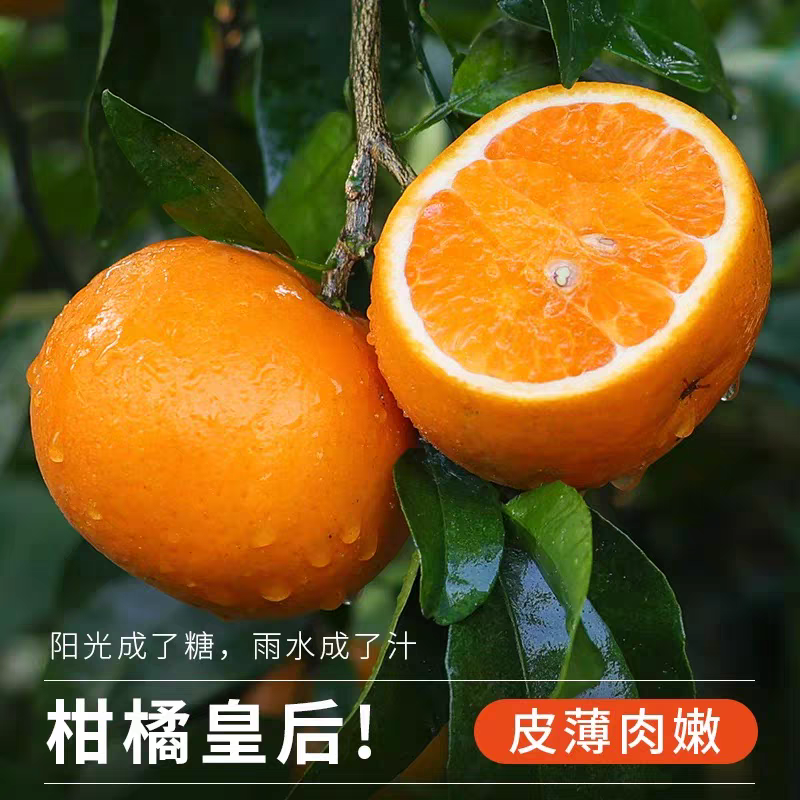 沃柑支持一件代发，电商货，整成发货