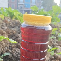 【诚信卖家】湖南土蜂蜜产地直发大量有货欢迎咨询