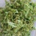花菜干，莴笋片，菜芯品种齐全欢迎来电咨询