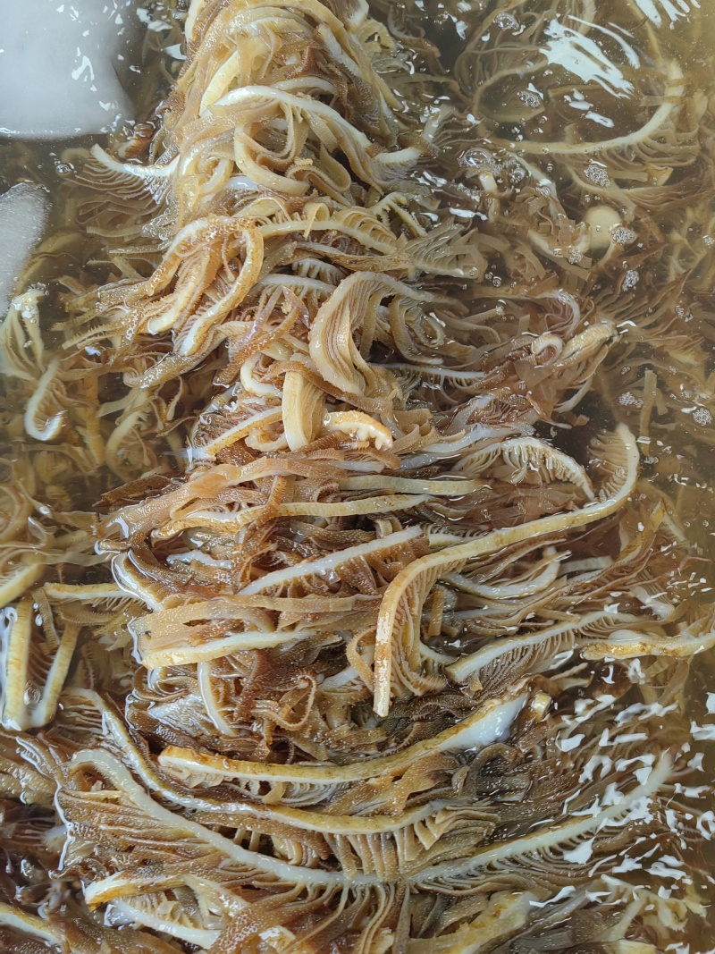 牛百叶茶色千层肚自助餐火锅冒菜麻辣烫串串商用毛肚