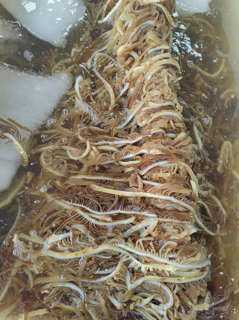 牛百叶茶色千层肚自助餐火锅冒菜麻辣烫串串商用毛肚