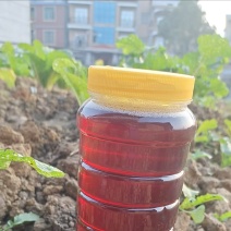 【口味醇厚】湖南土蜂蜜大量有货产地直发全国供应