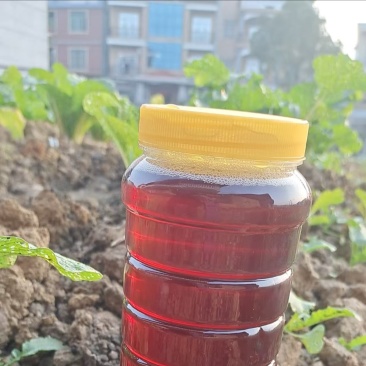 【口味醇厚】湖南土蜂蜜大量有货产地直发全国供应