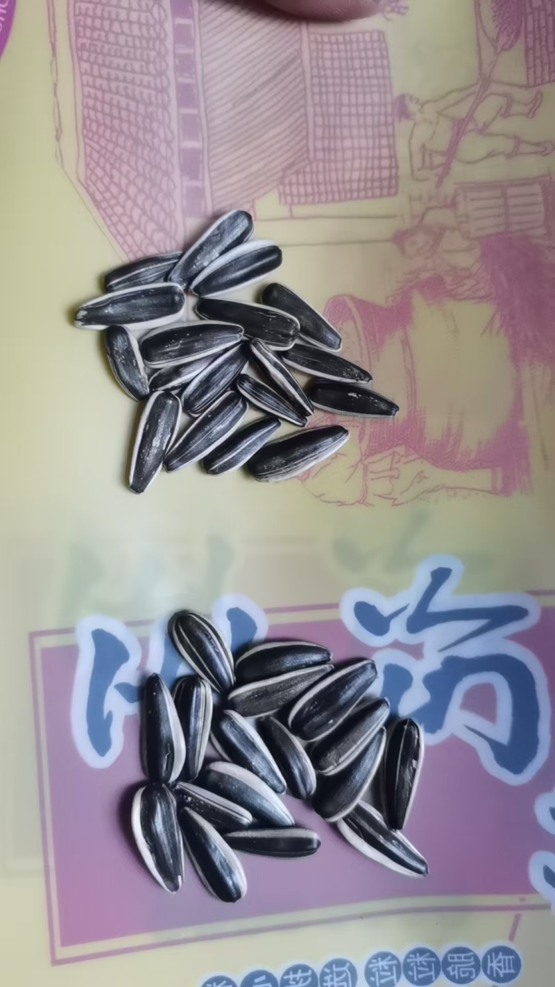 葵花籽/自然晾晒/河北发货/大宗贸易/欢迎采购咨询合作