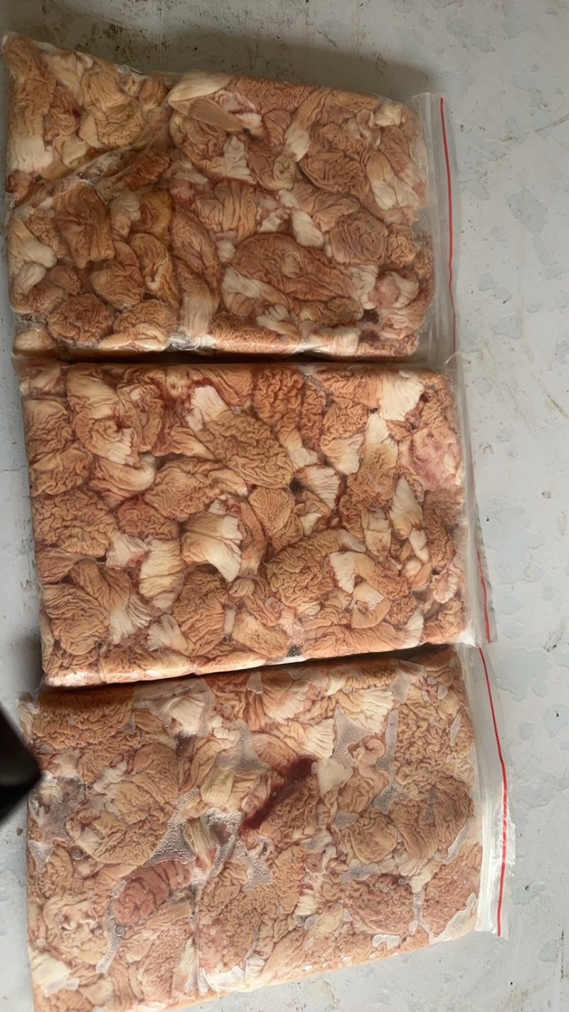 鲈鱼肚