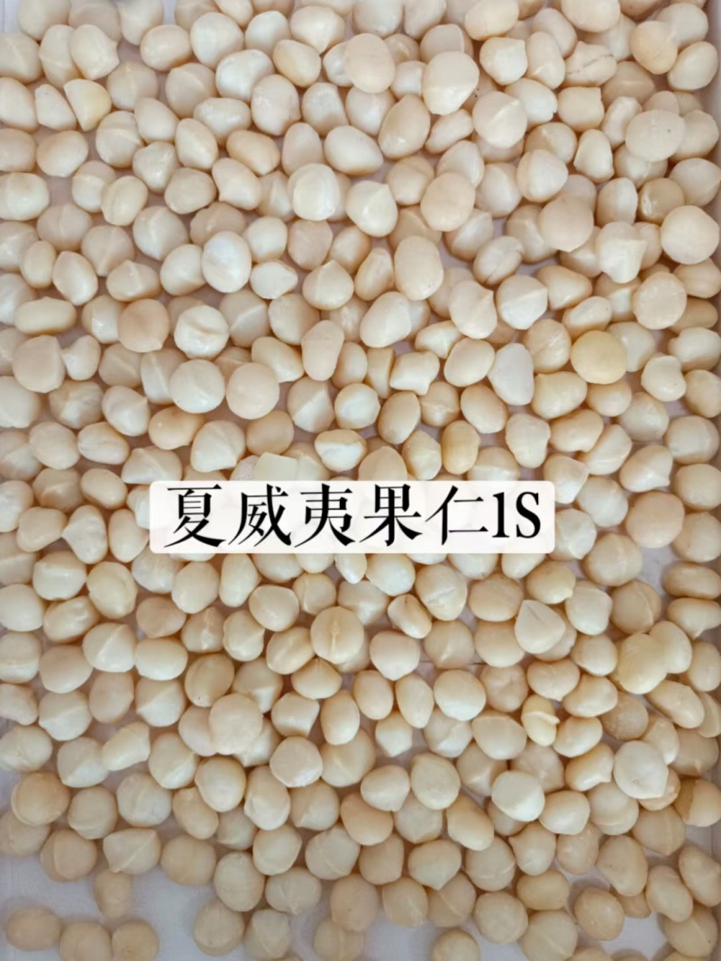 夏威夷果仁仁碎夏威夷果坚果干果量大质优
