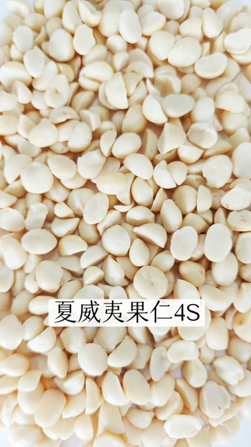 夏威夷果仁仁碎夏威夷果坚果干果量大质优