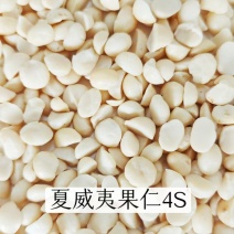 夏威夷果仁仁碎夏威夷果坚果干果量大质优