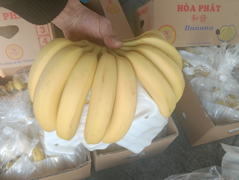 进口香蕉口感软糯香甜，不黑心不硬心支持现场验货保值保量