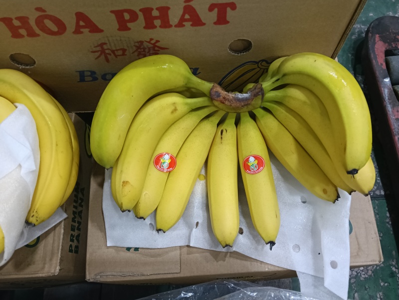 进口香蕉口感软糯香甜，不黑心不硬心支持现场验货保值保量