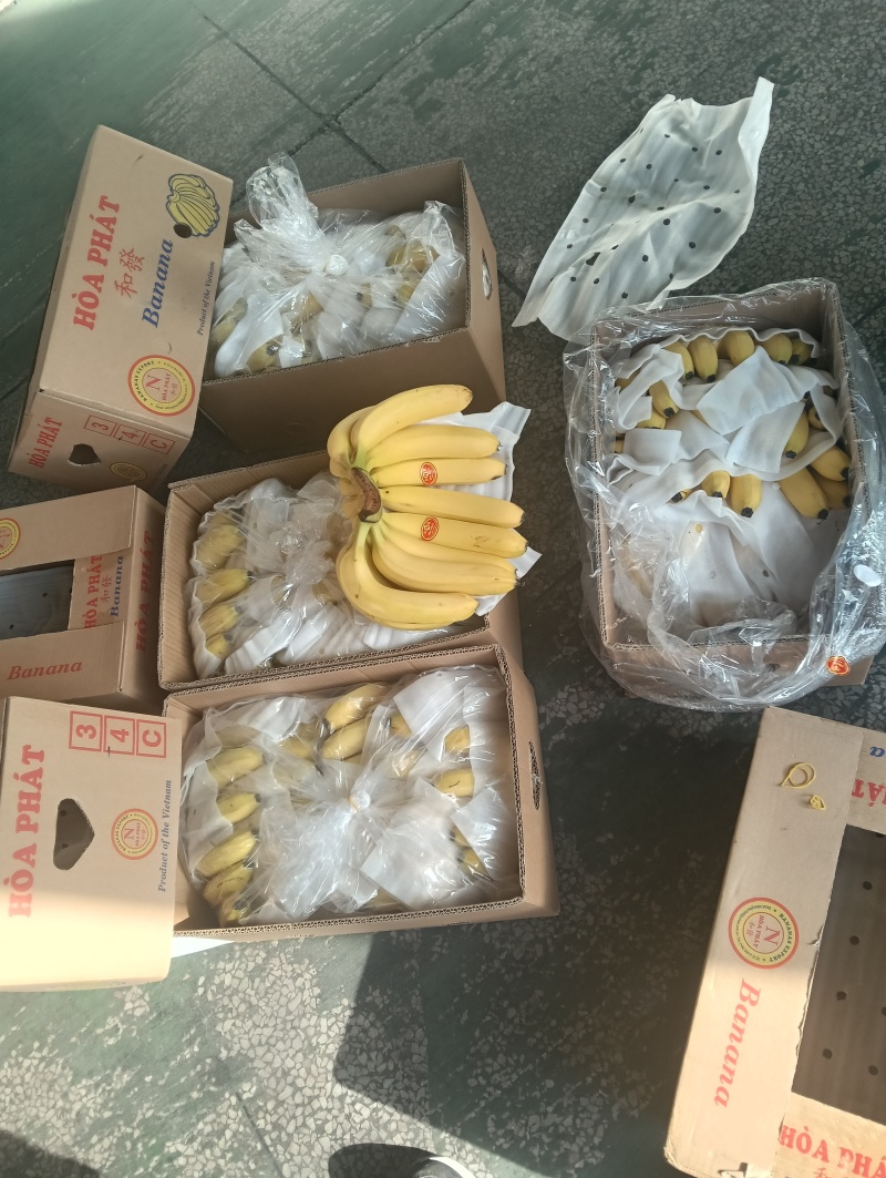 进口香蕉口感软糯香甜，不黑心不硬心支持现场验货保值保量