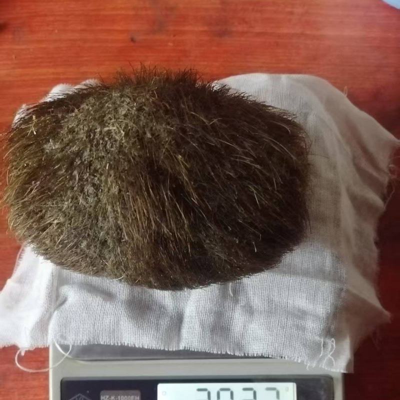 找商家收购猪宝