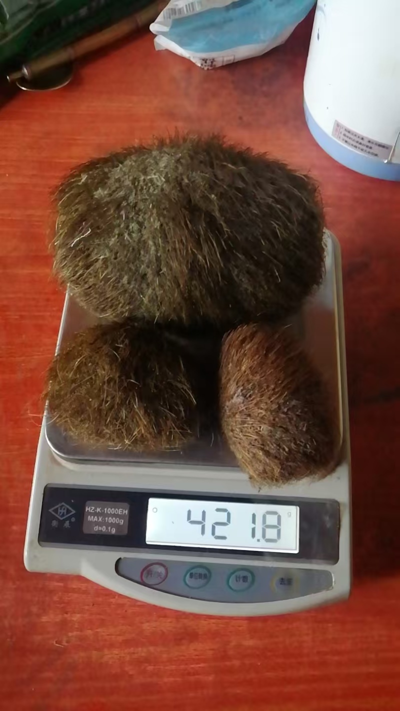找商家收购猪宝
