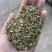 防风籽，药材种植，防风种子，基地发芽率高
