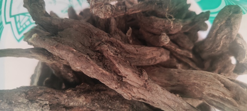 虎掌草干货中药材量大从优欢迎选购！