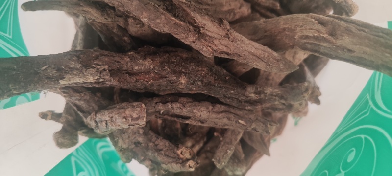 虎掌草干货中药材量大从优欢迎选购！