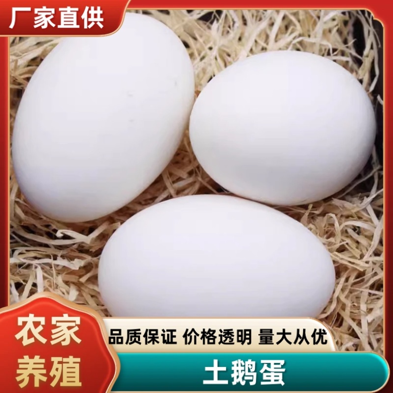 【精品鹅蛋】农家散养对接电商商超品质保证量大从优