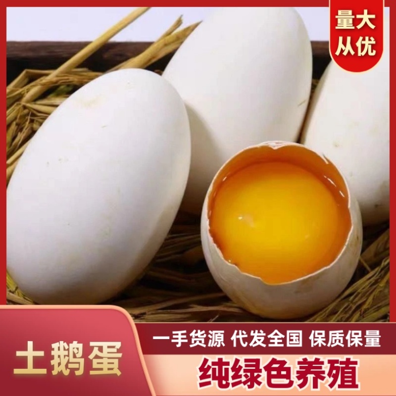 【精品鹅蛋】农家散养对接电商商超品质保证量大从优