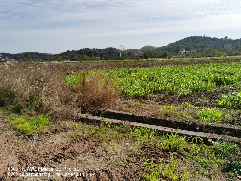 湖南衡阳2000亩农村集体土地旱地出租流转