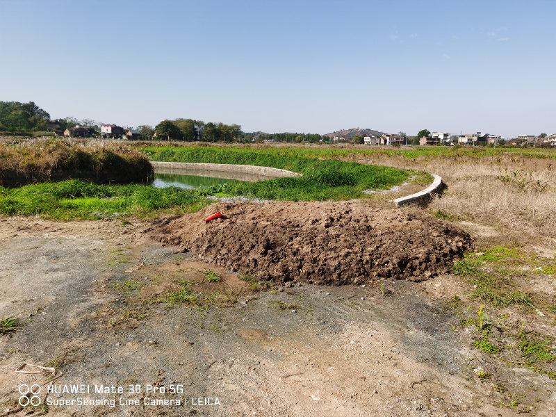 湖南衡阳2000亩农村集体土地旱地出租流转